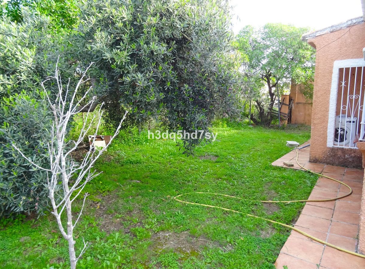 Detached Villa in Calypso — photo 3 of 10