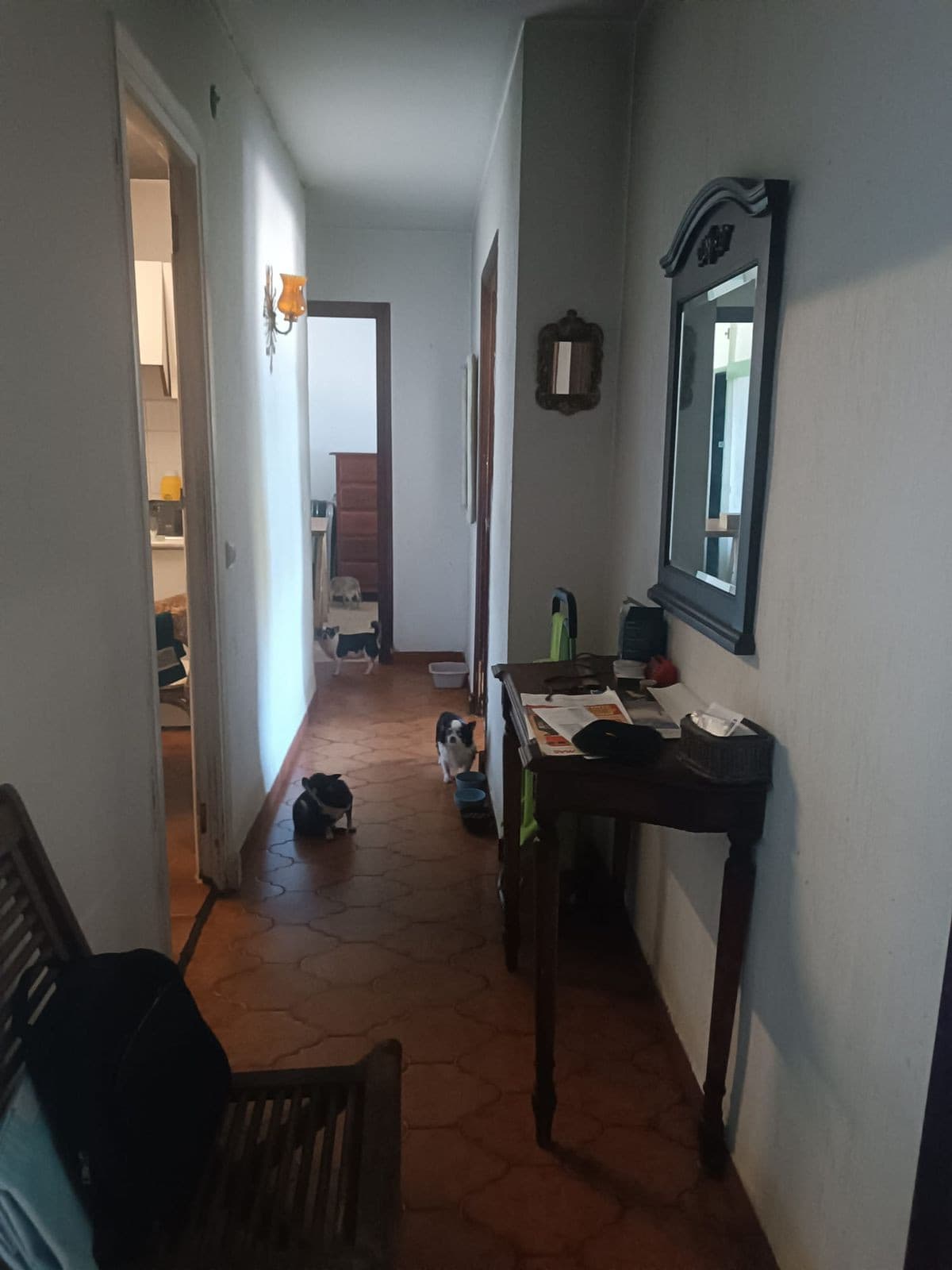 Middle Floor Apartment in Estepona — photo 5 of 10