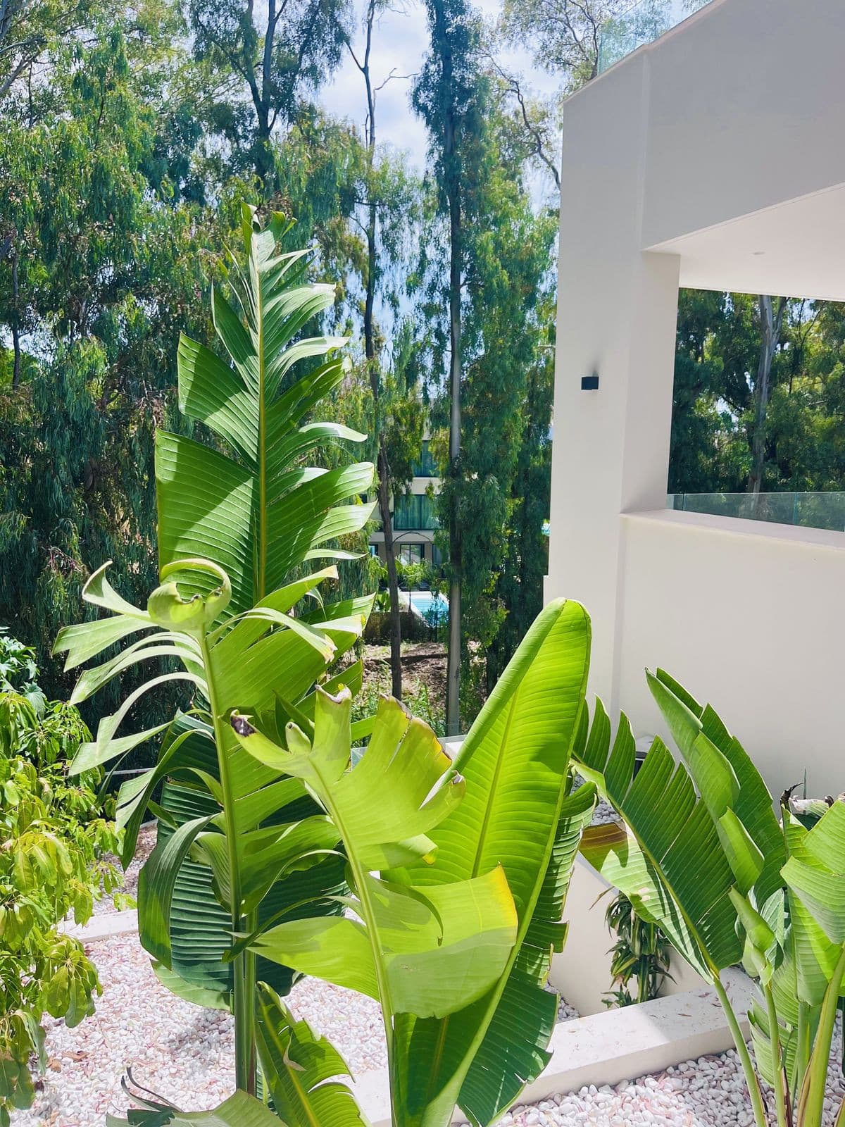 Detached Villa in Nueva Andalucía — photo 6 of 10
