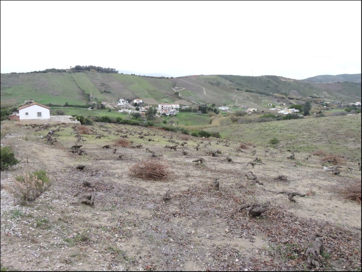 Cortijo in Manilva — photo 4 of 10
