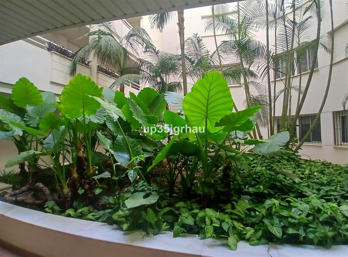 Middle Floor Apartment in Estepona — photo 6 of 10