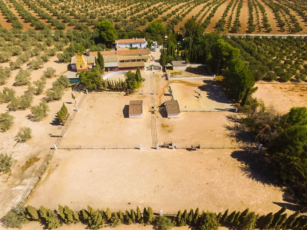 Cortijo in Antequera — photo 7 of 10