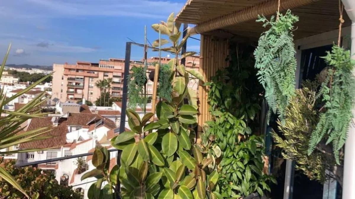 Penthouse in Estepona — photo 5 of 10