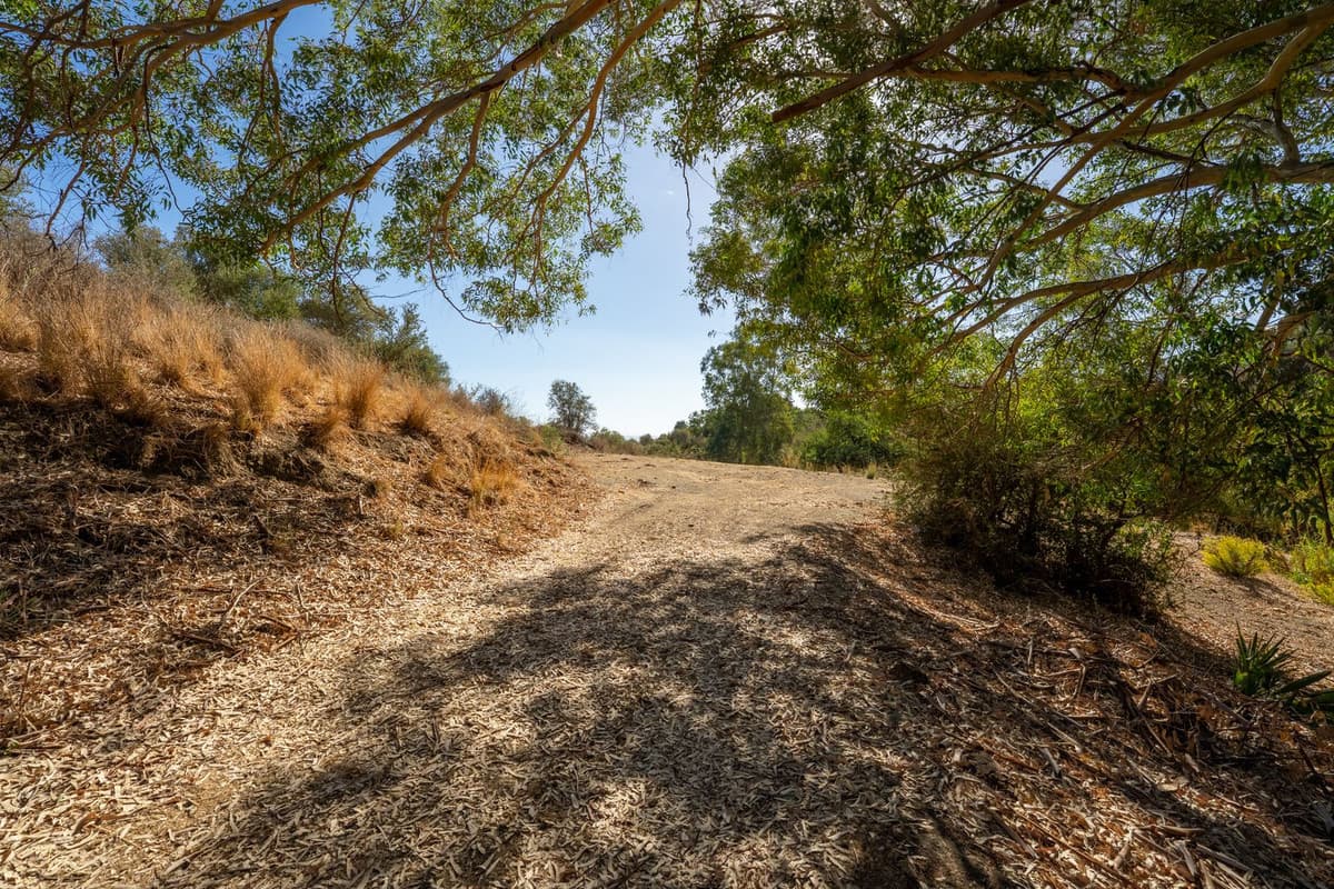 Land in Cerros del Aguila — photo 7 of 10