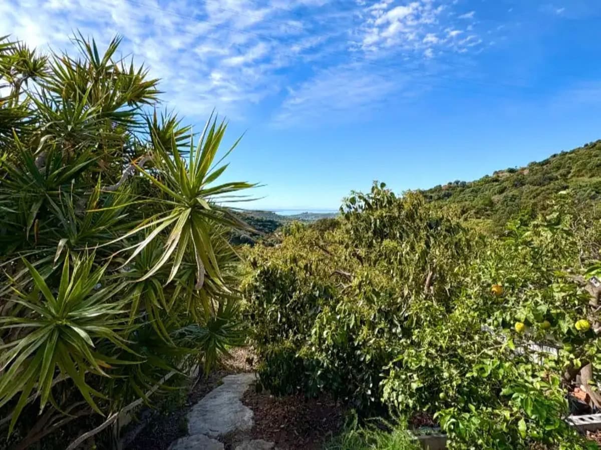 Cortijo in Estepona — photo 6 of 10