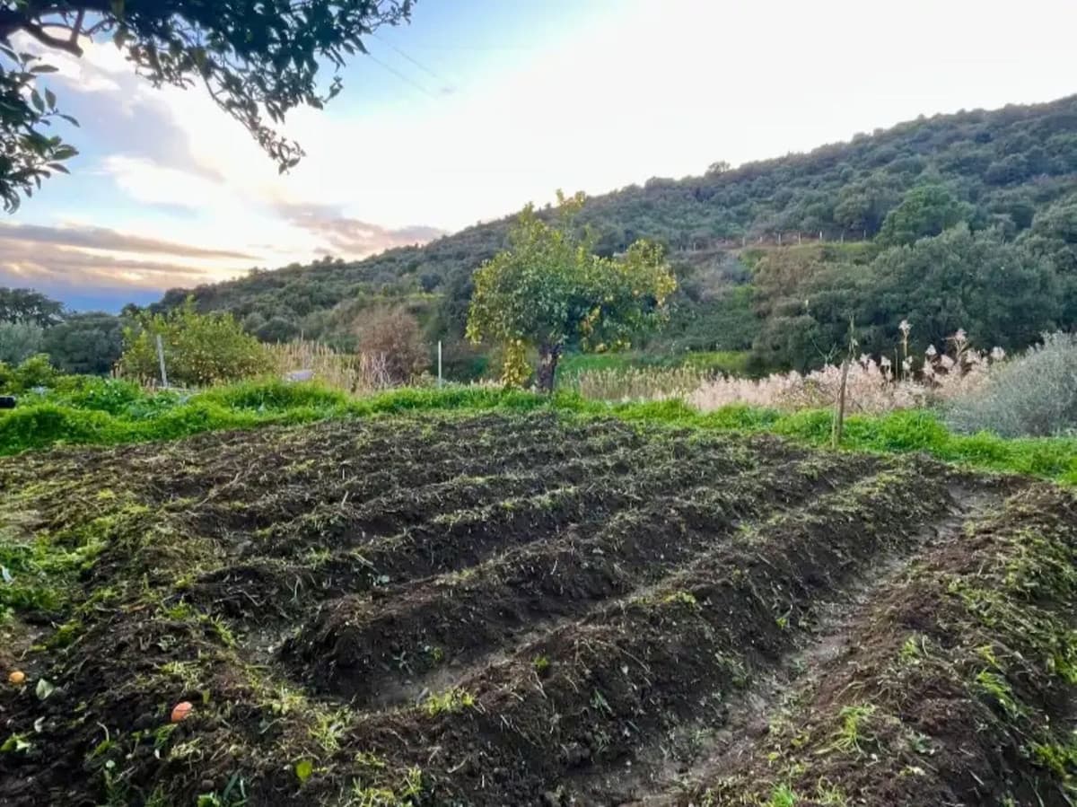 Cortijo in Estepona — photo 9 of 10