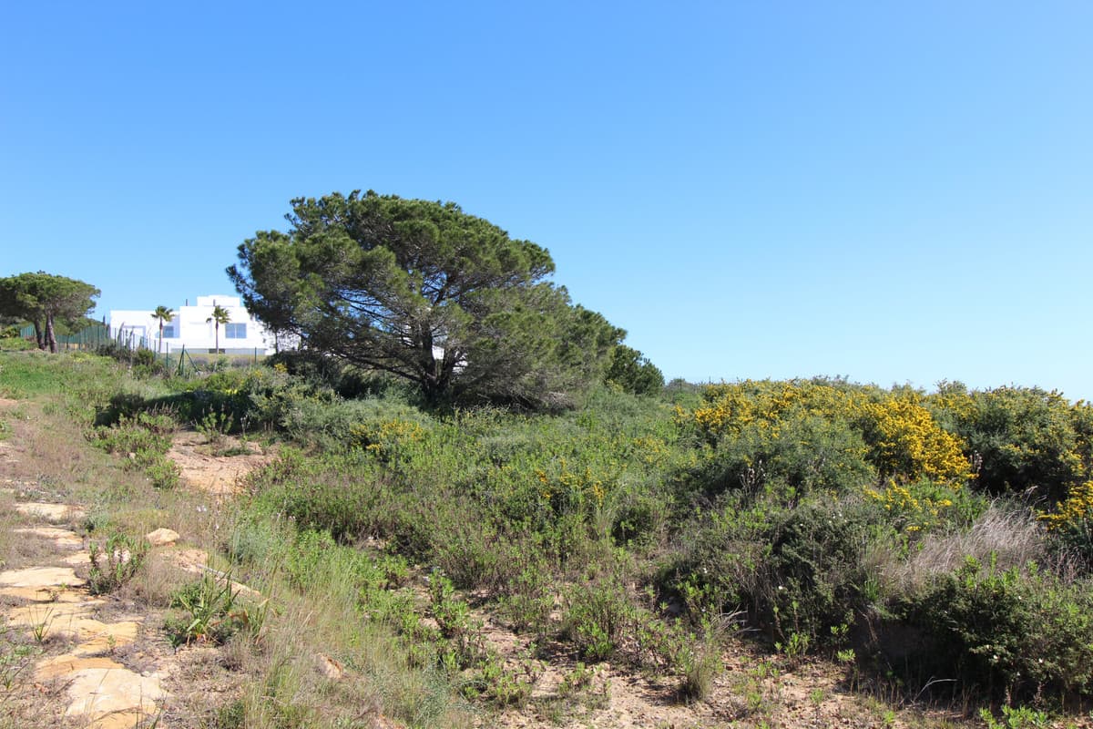 Detached Villa in Sotogrande — photo 10 of 10