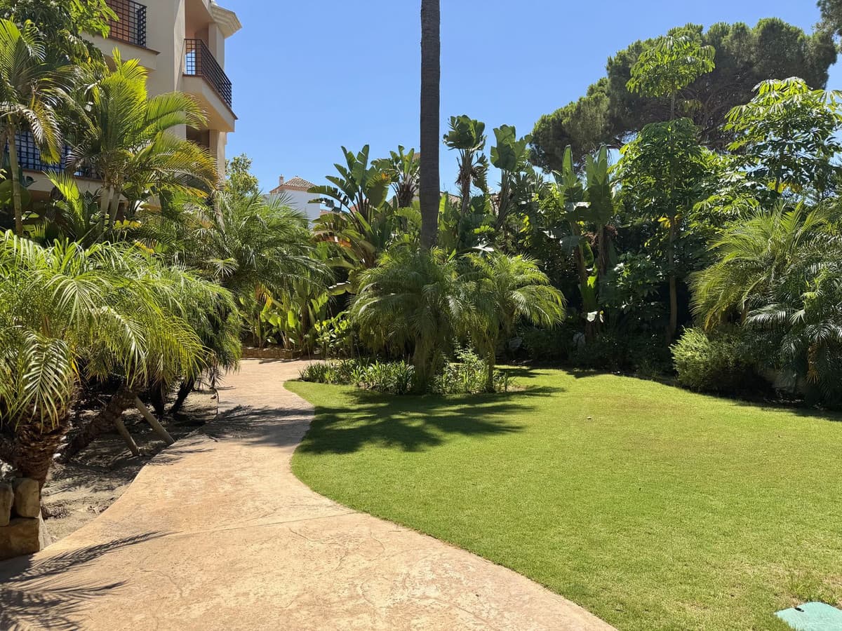 Top Floor Apartment in Puerto Banús — photo 5 of 10