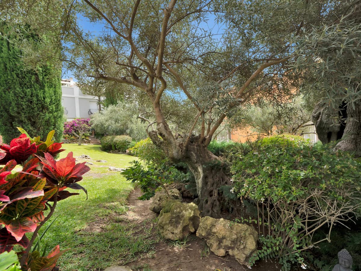 Townhouse in Bahía de Marbella — photo 3 of 10