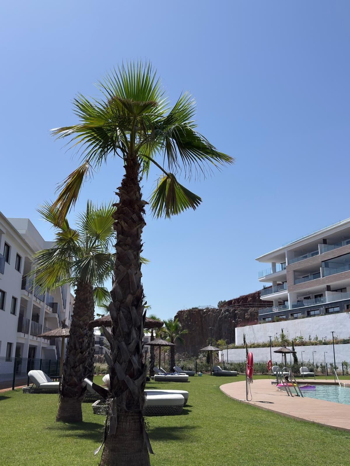 Ground Floor Apartment in Fuengirola — photo 2 of 10
