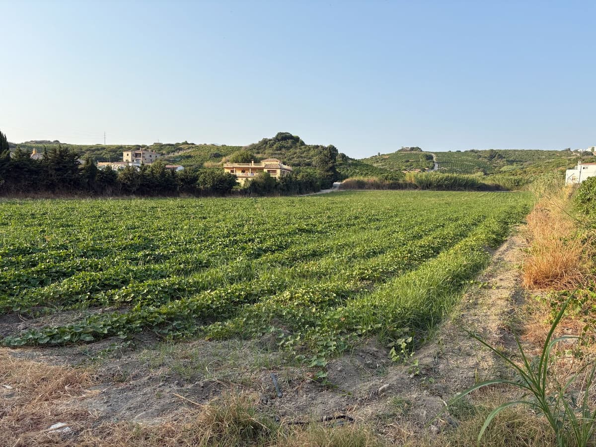 Land in Casares — photo 1 of 5