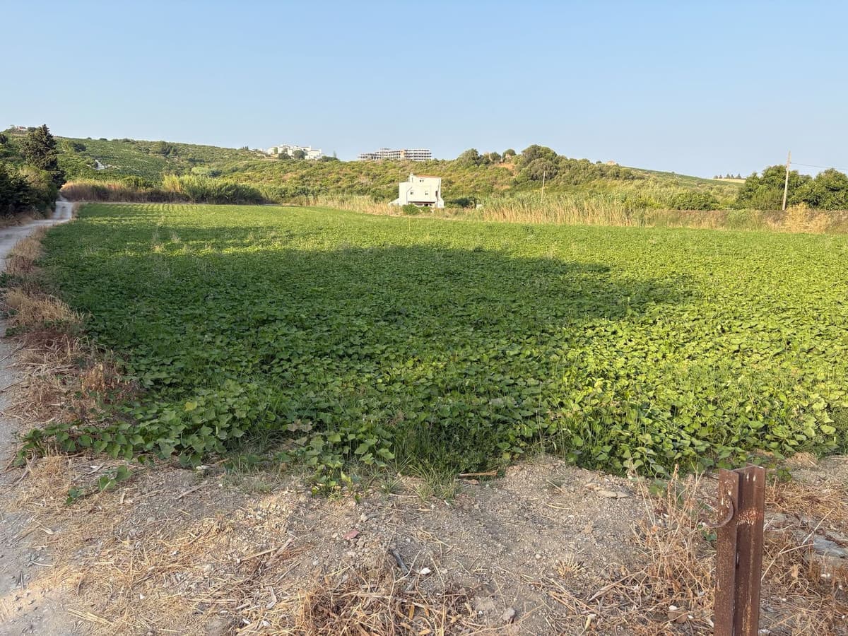 Land in Casares — photo 2 of 5