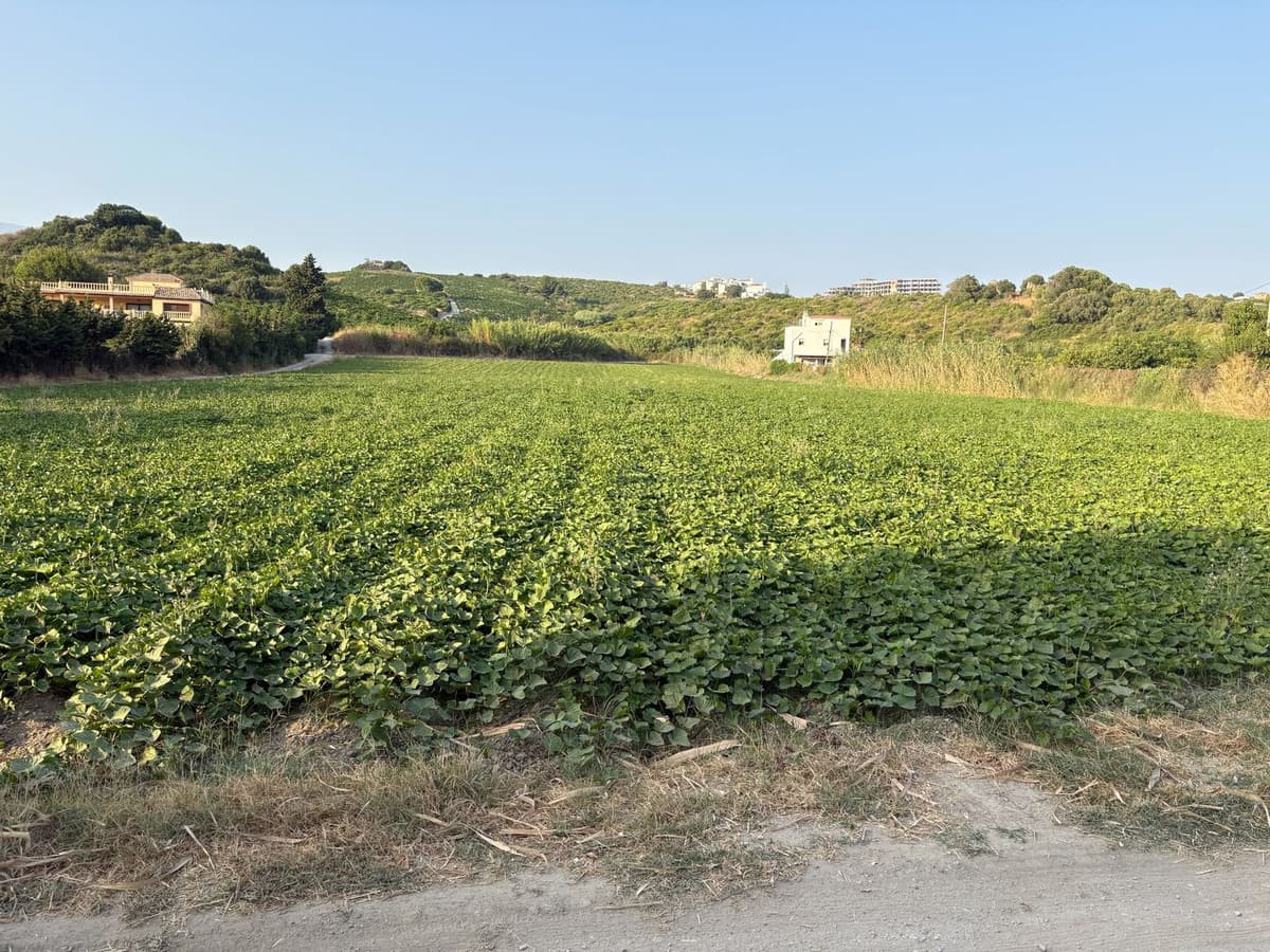 Land in Casares — photo 3 of 5