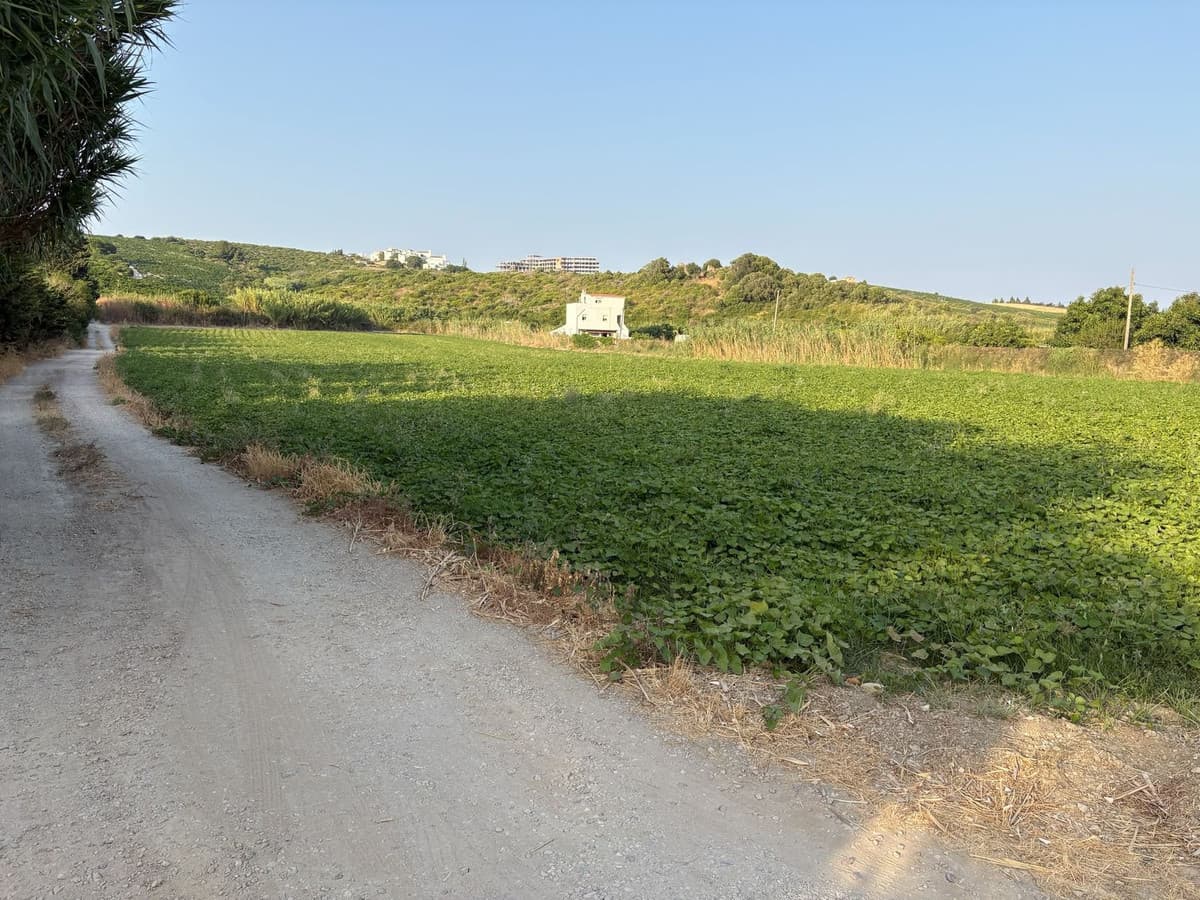 Land in Casares — photo 4 of 5