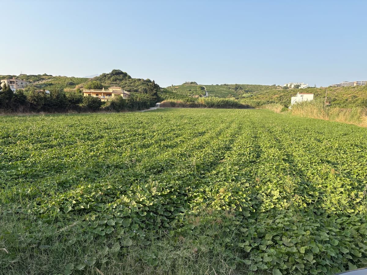 Land in Casares — photo 5 of 5