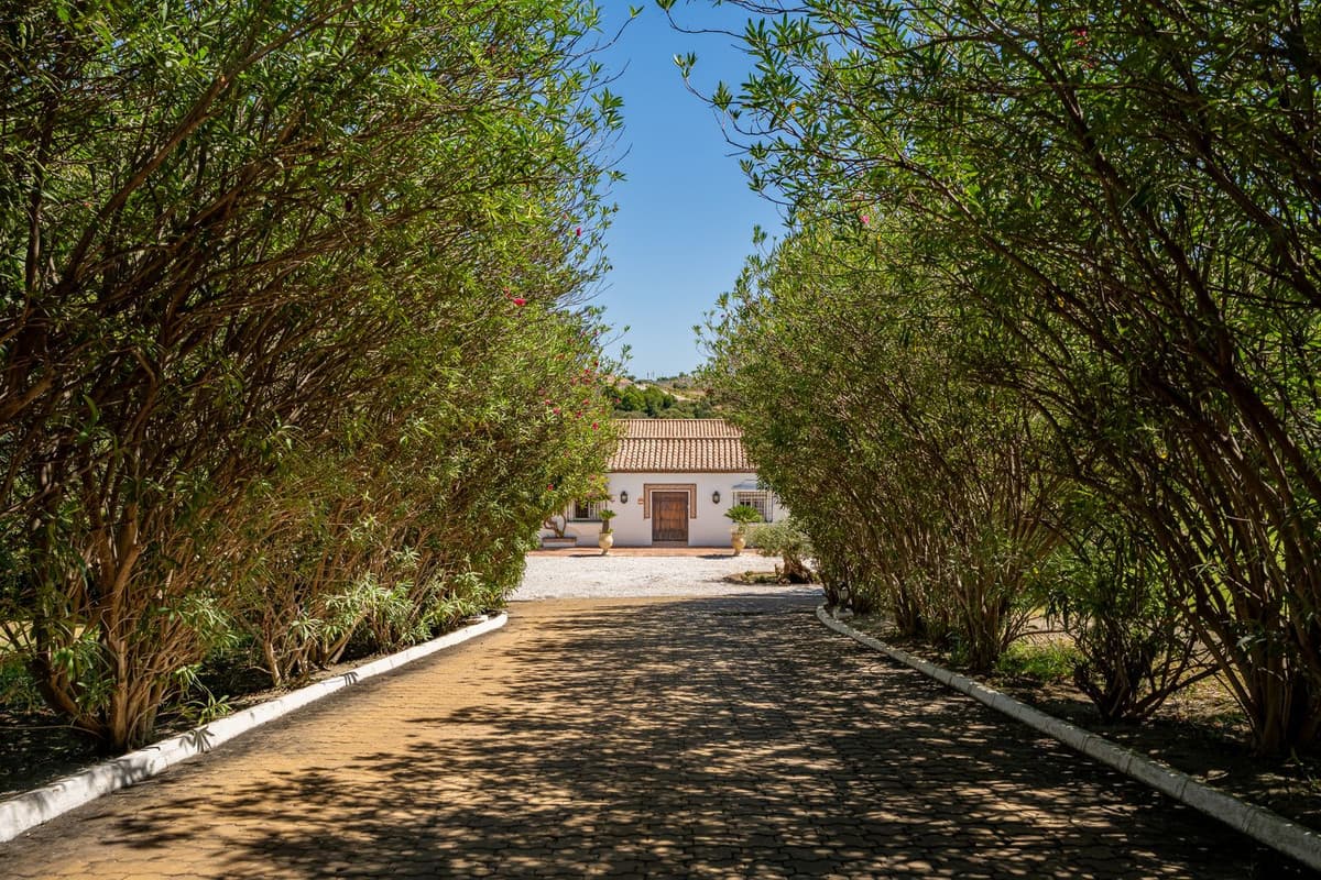 Cortijo in Cancelada — photo 3 of 10
