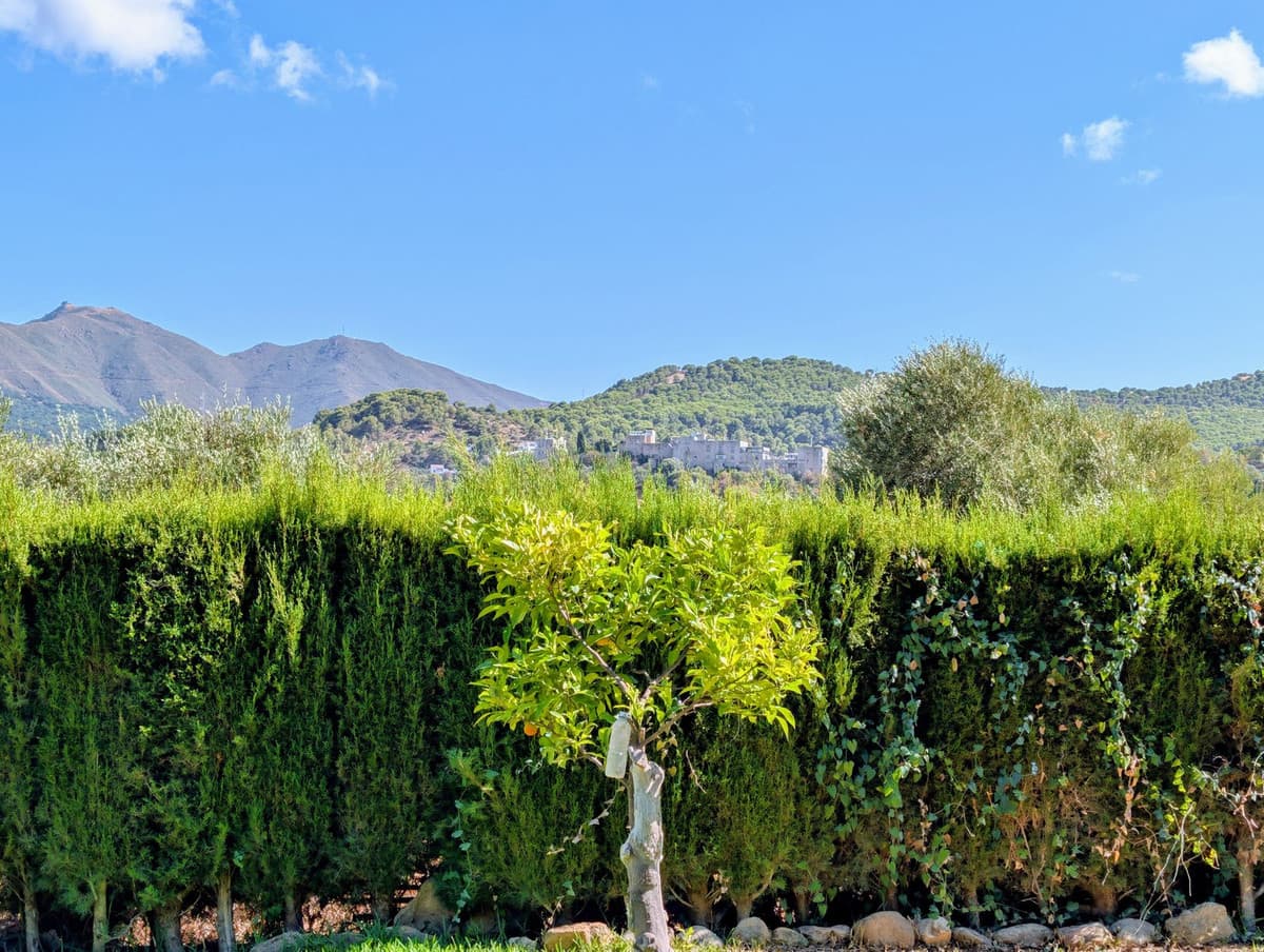 Detached Villa in Monda — photo 1 of 10