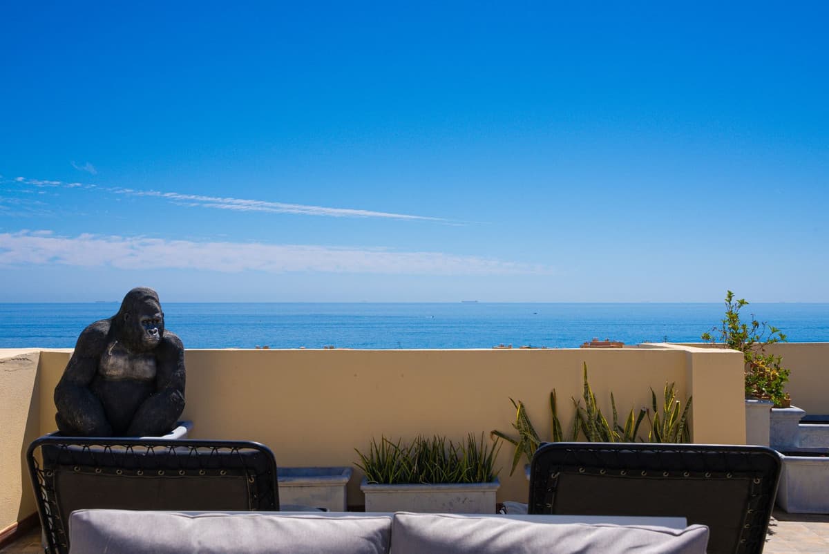 Penthouse in Calahonda — photo 9 of 10