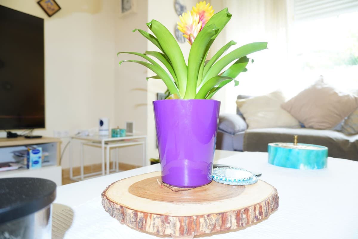 Townhouse in Mijas — photo 6 of 10