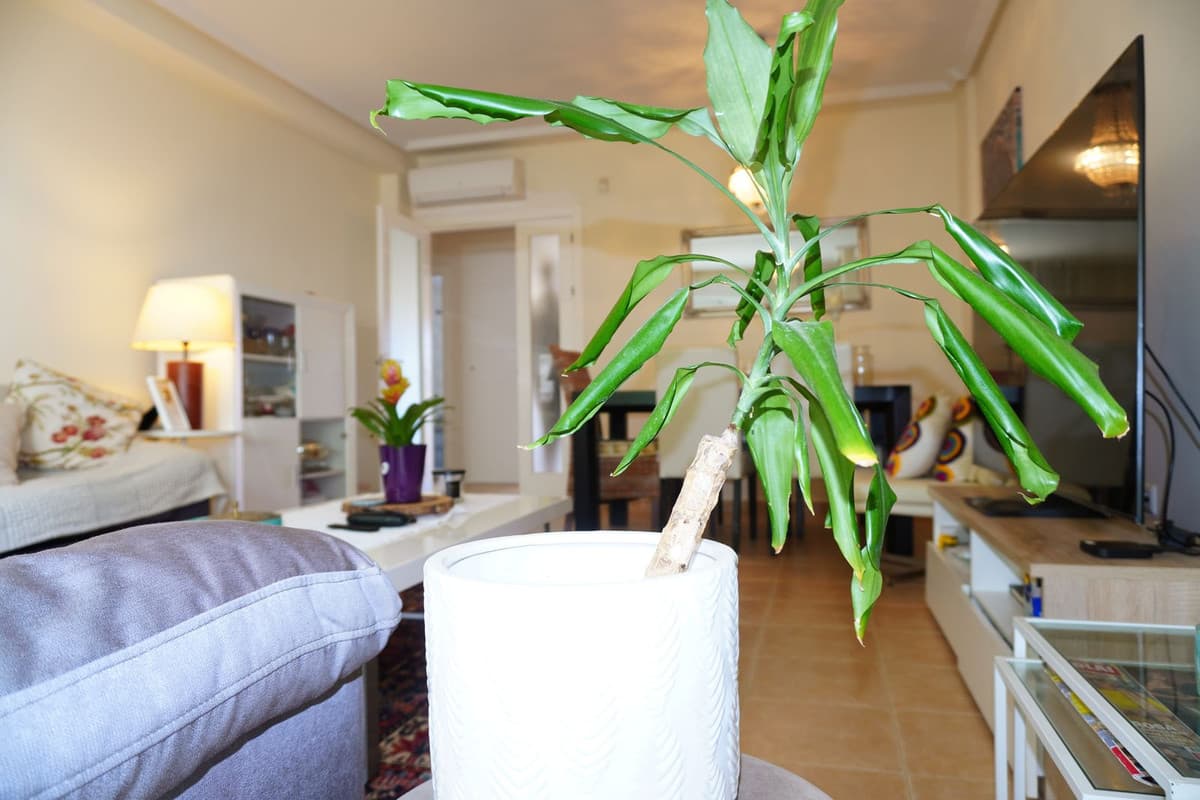 Townhouse in Mijas — photo 8 of 10