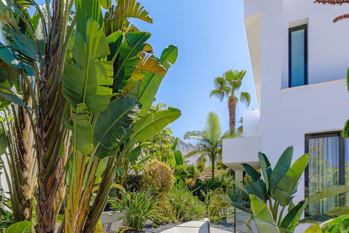 Detached Villa in El Paraiso — photo 3 of 10