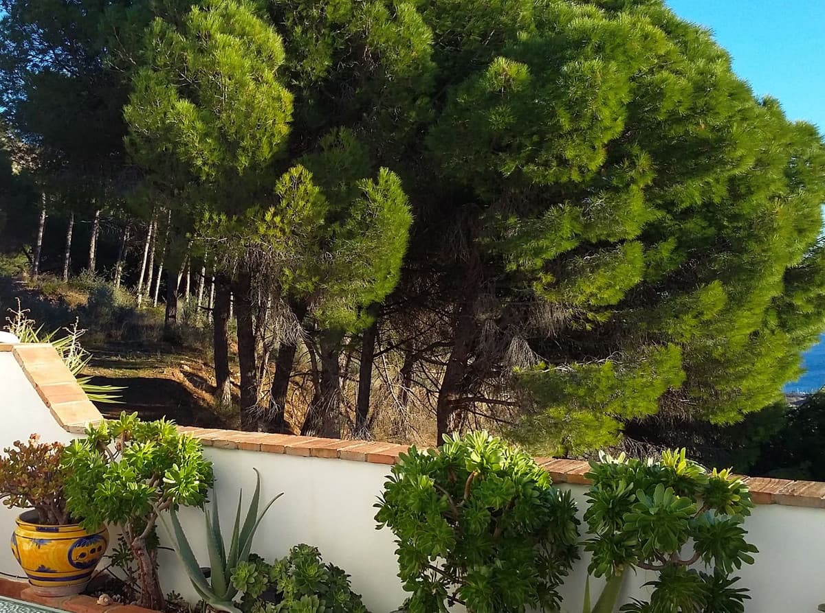 Townhouse in Mijas — photo 7 of 10