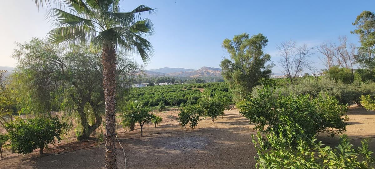 Cortijo in Pizarra — photo 3 of 10