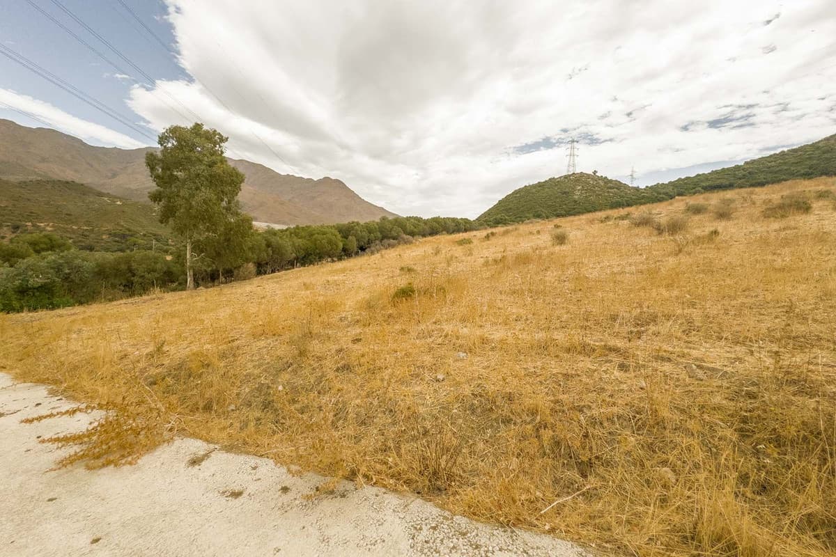 Land with Ruin in Casares — photo 10 of 10