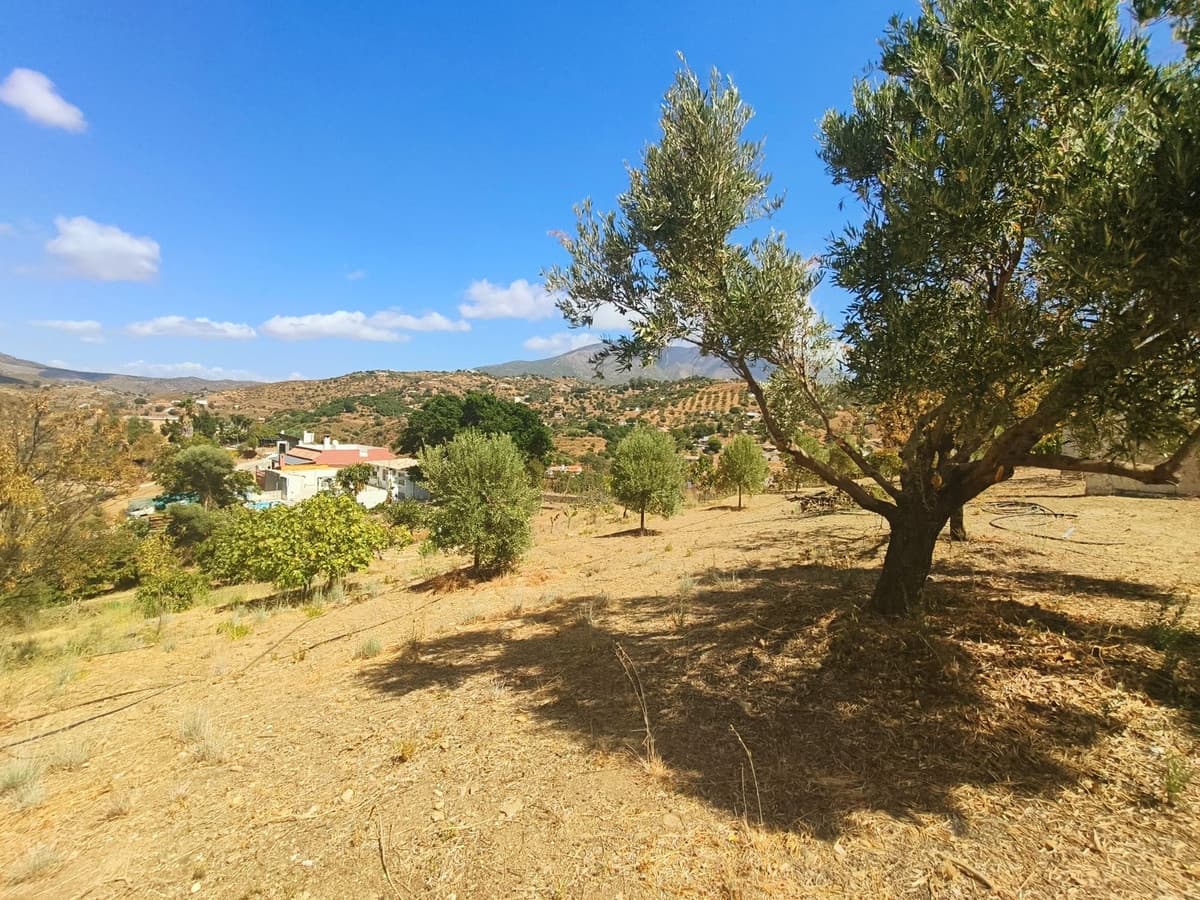 Cortijo in La Cala — photo 6 of 10