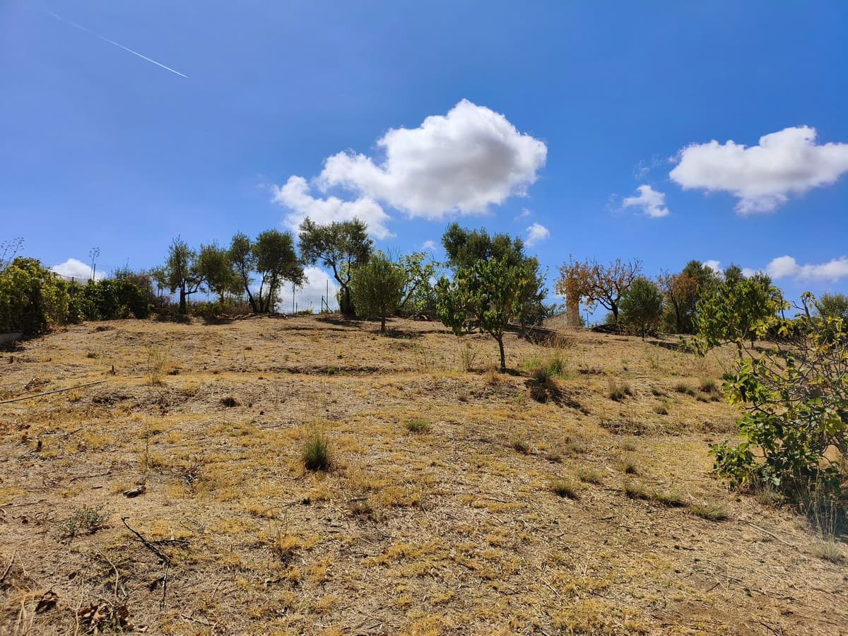 Cortijo in La Cala — photo 9 of 10