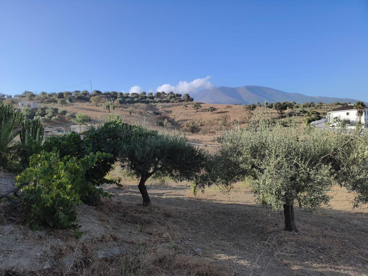 Cortijo in Alhaurín el Grande — photo 7 of 10