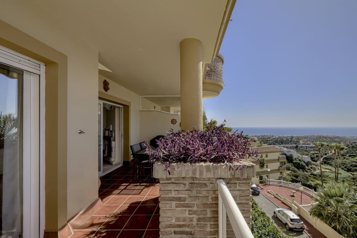 Ground Floor Apartment in Calahonda — photo 2 of 10