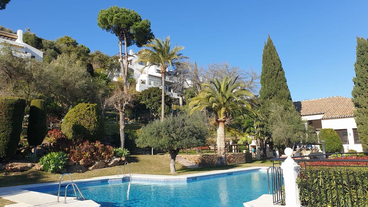 Top Floor Apartment in Los Almendros — photo 1 of 10