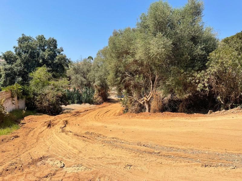 Land in El Rosario — photo 6 of 8