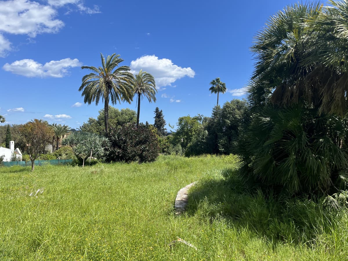 Land in Sotogrande Costa — photo 4 of 5