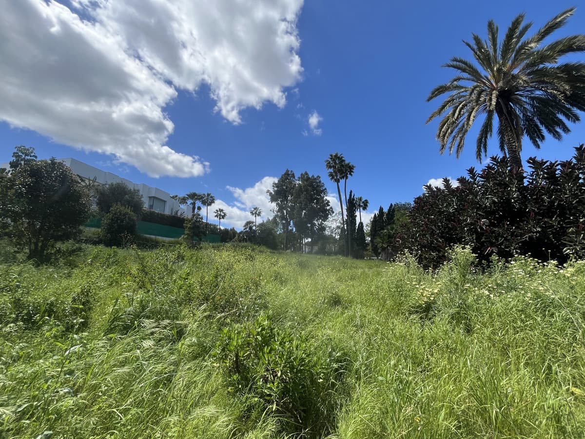 Land in Sotogrande Costa — photo 5 of 5