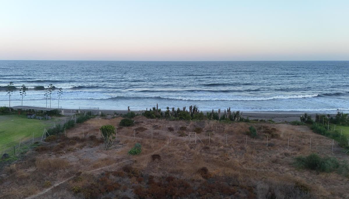 Land in Guadalmina Baja — photo 6 of 9