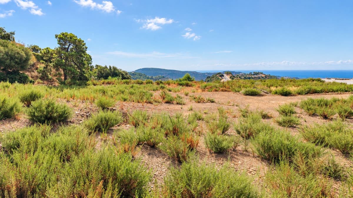 Residential Plot in Benahavís — photo 5 of 9