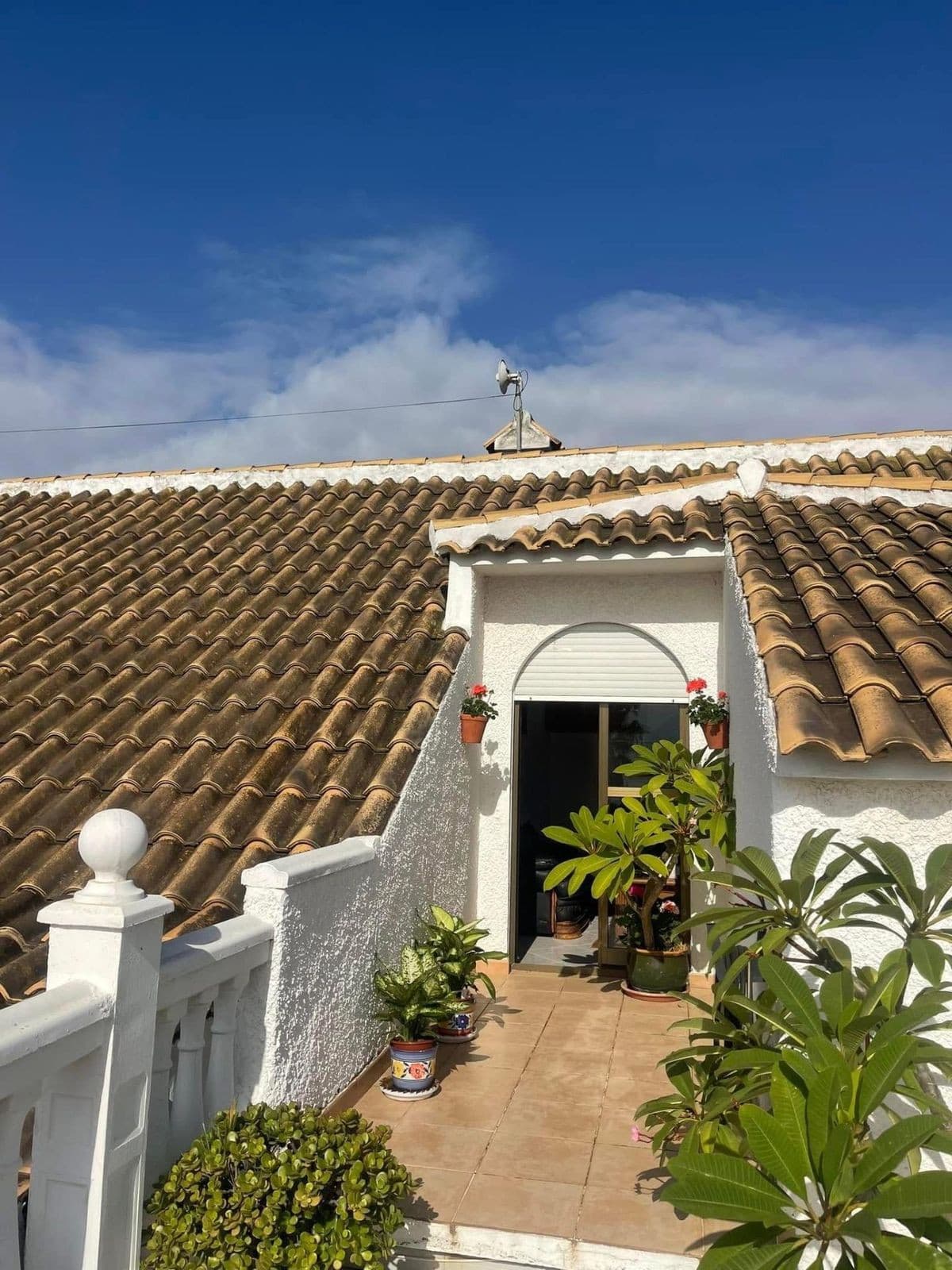 Detached Villa in El Faro — photo 3 of 10