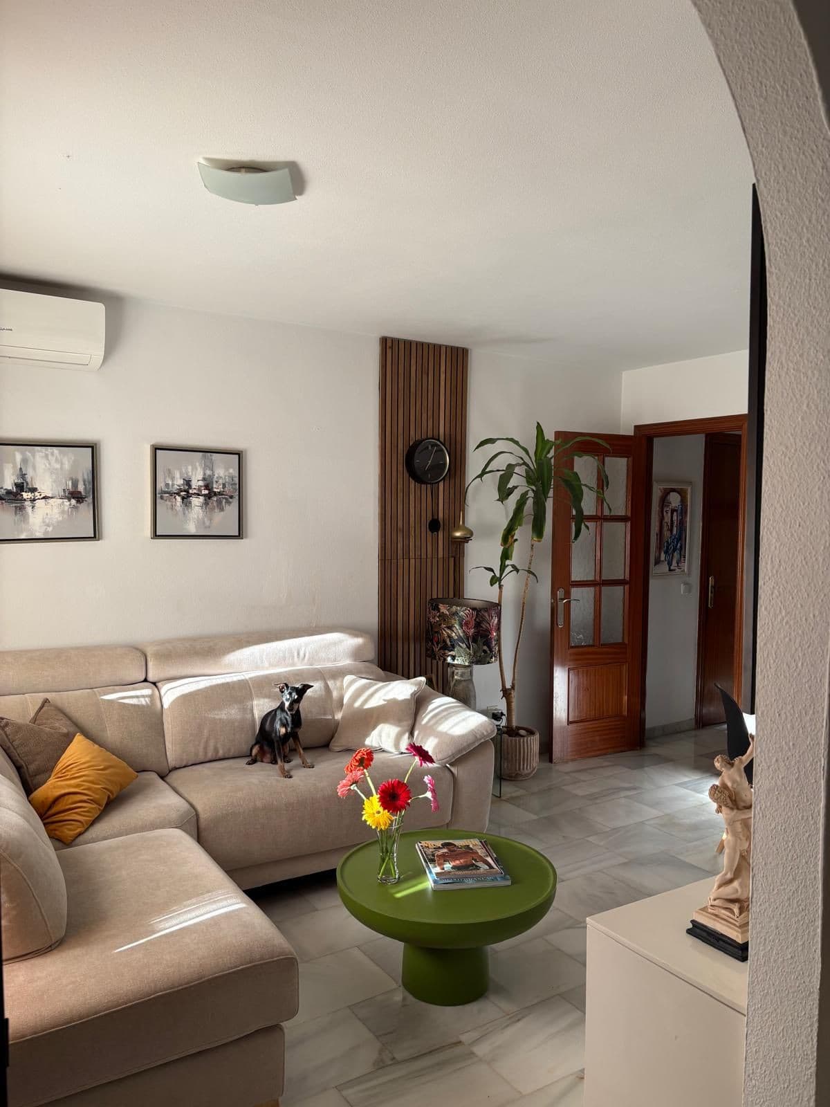 Middle Floor Apartment in Málaga Centro — photo 5 of 10