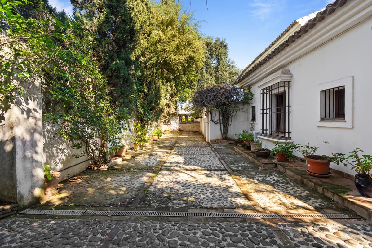 Detached Villa in Sotogrande Costa — photo 4 of 10
