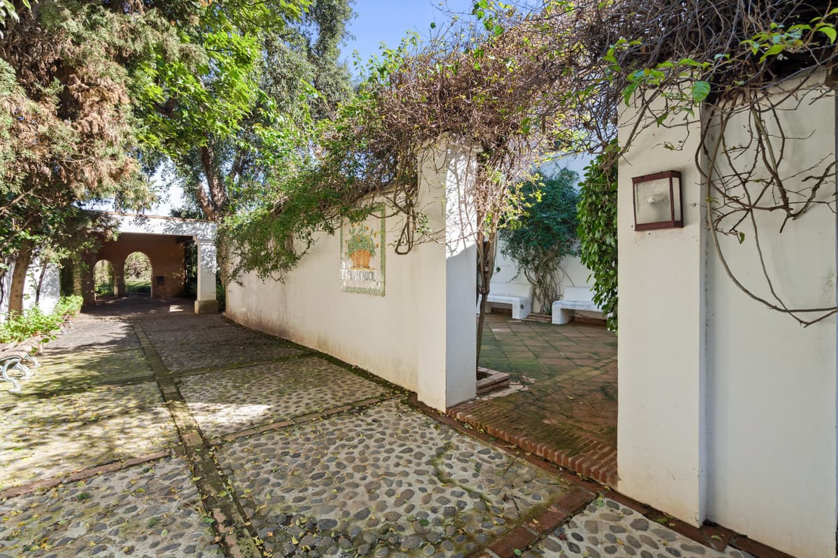Detached Villa in Sotogrande Costa — photo 5 of 10