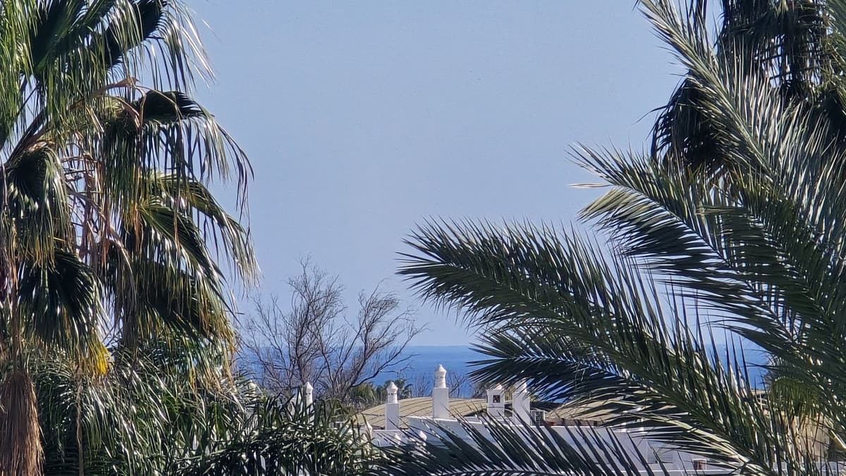Penthouse in Nueva Andalucía — photo 7 of 10
