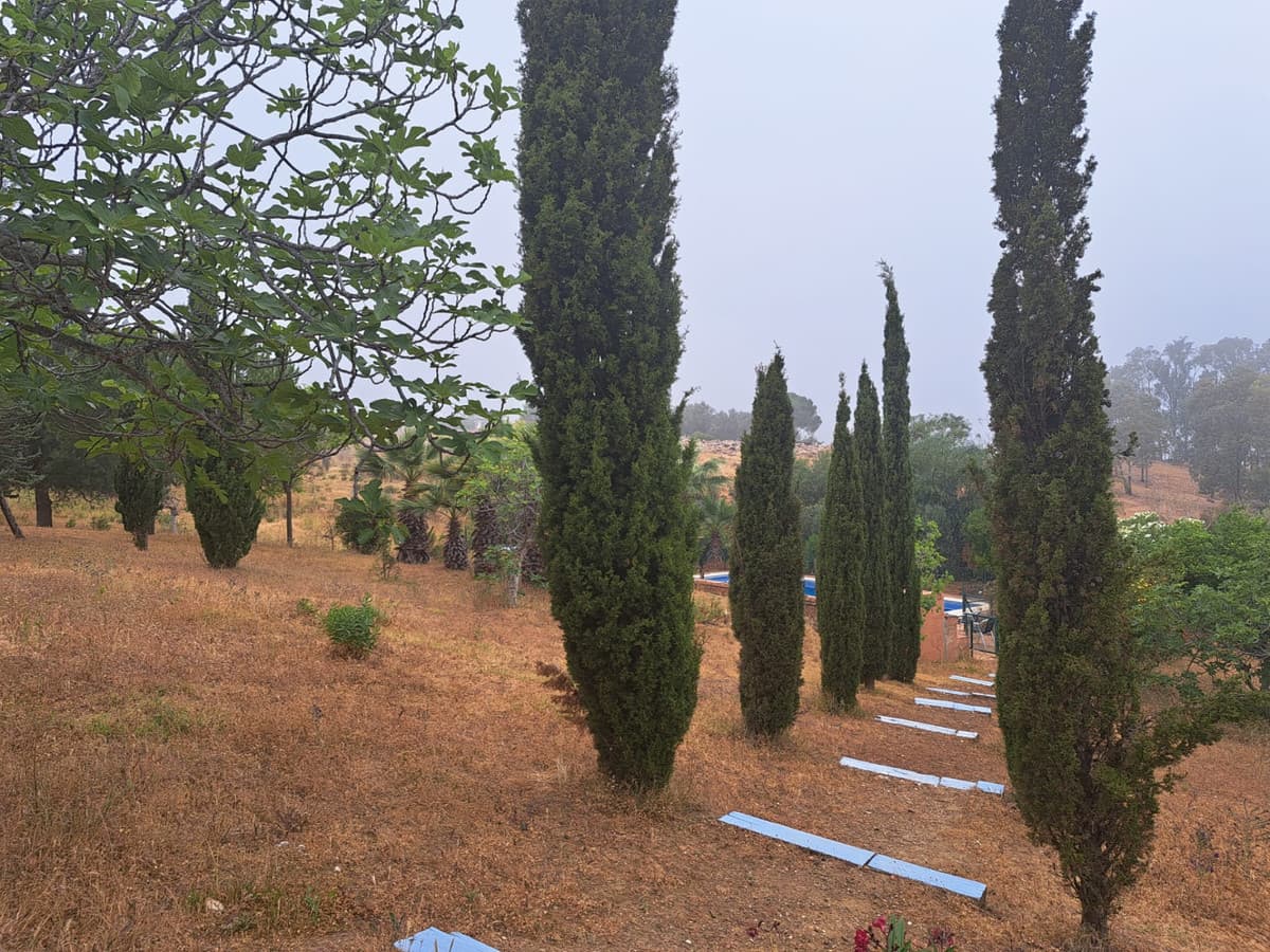 Cortijo in Entrerrios — photo 6 of 10