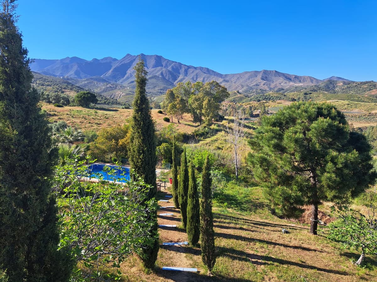 Cortijo in Entrerrios — photo 7 of 10