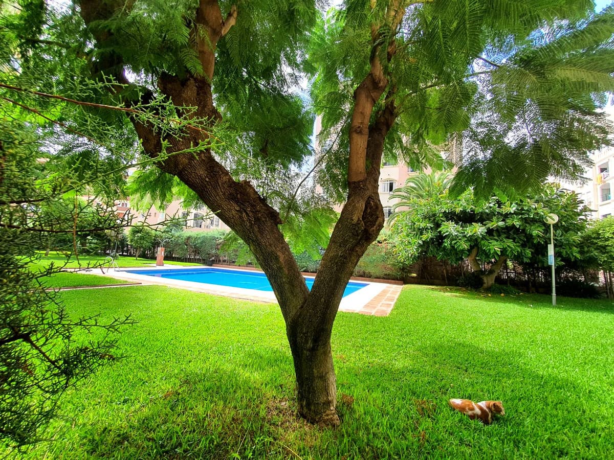Middle Floor Apartment in Torremolinos