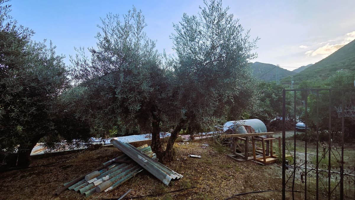 Cortijo in Ojén — photo 8 of 10