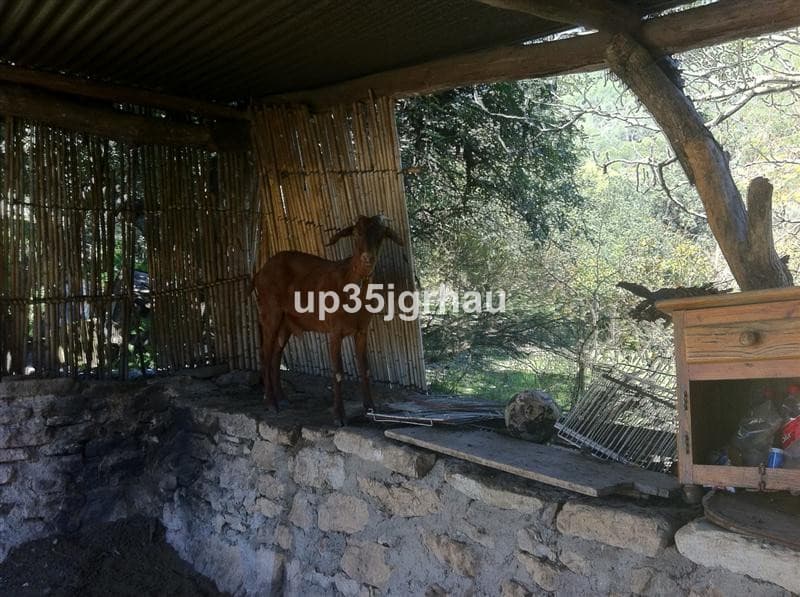 Land in Gaucín — photo 4 of 10