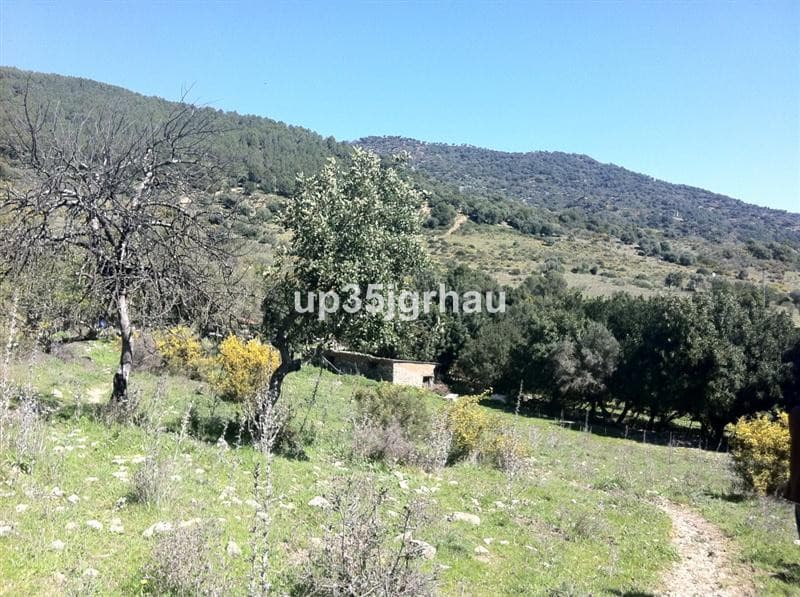 Land in Gaucín — photo 10 of 10