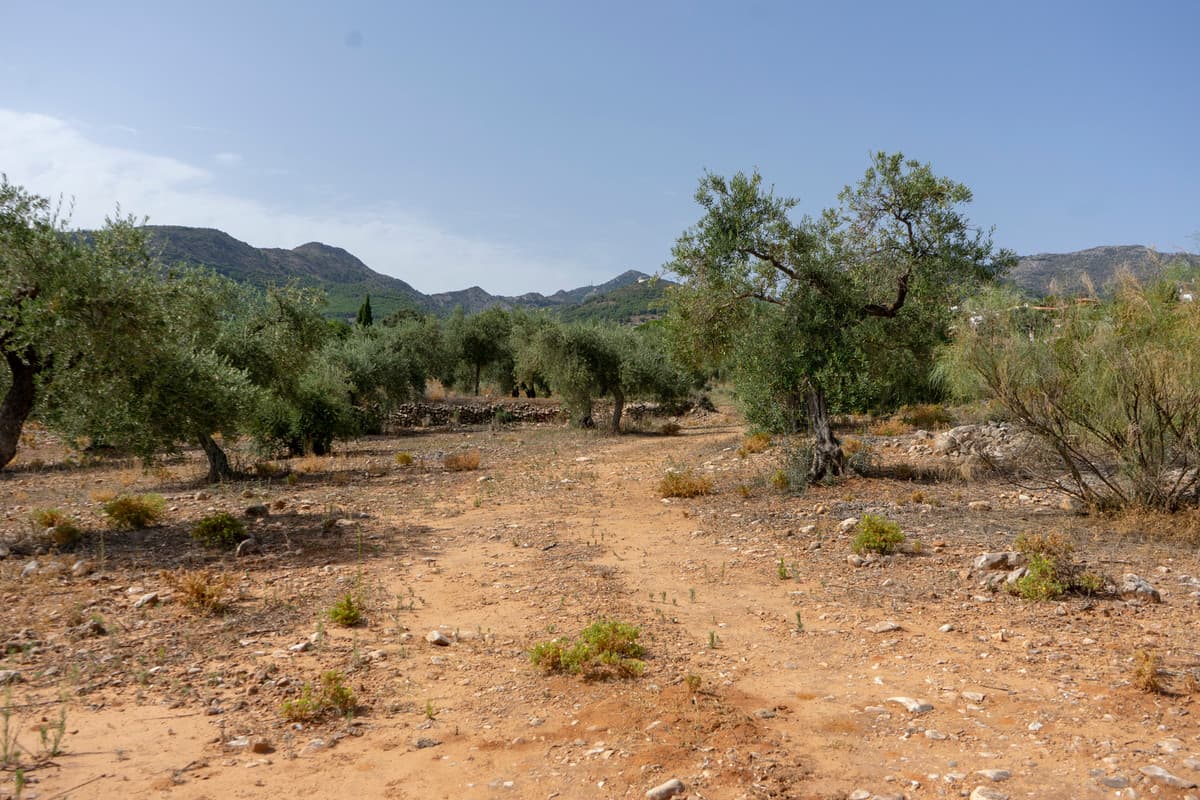 Residential Plot in Alhaurín de la Torre — photo 4 of 6